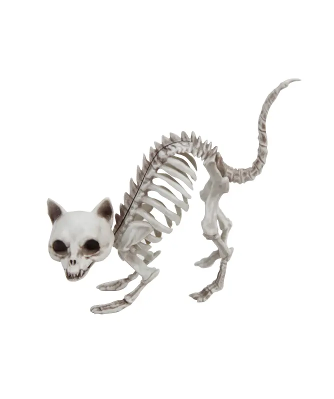 Katzenskelett Halloween