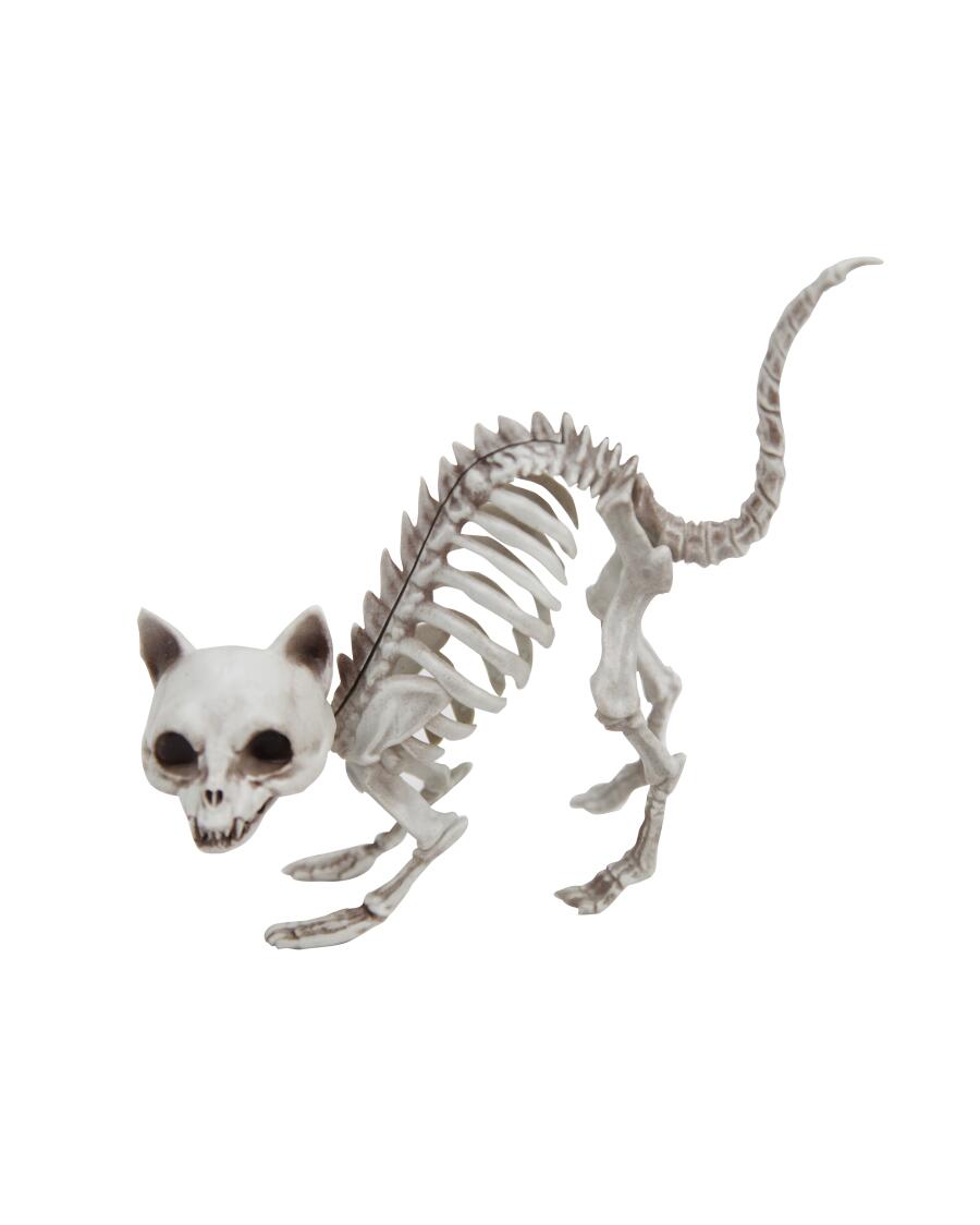 Katzenskelett Halloween weiß