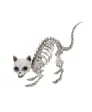 Halloweenská kostra kočky