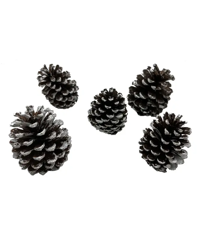Dennenappels Kerst