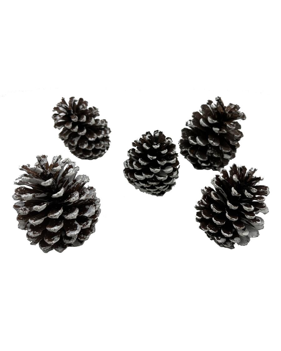 Dennenappels Kerst wit