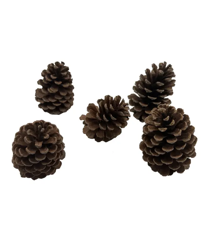 Dennenappels Kerst