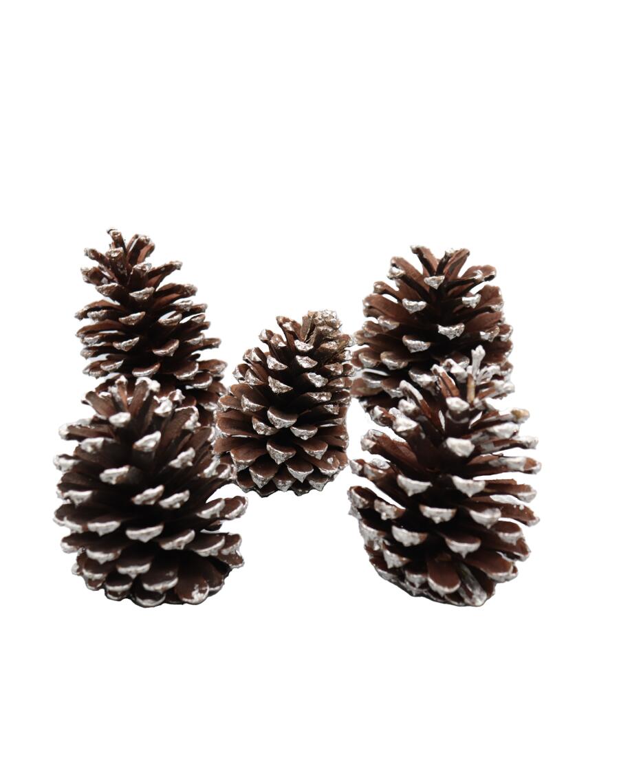 Tannenzapfen Weihnachten silber