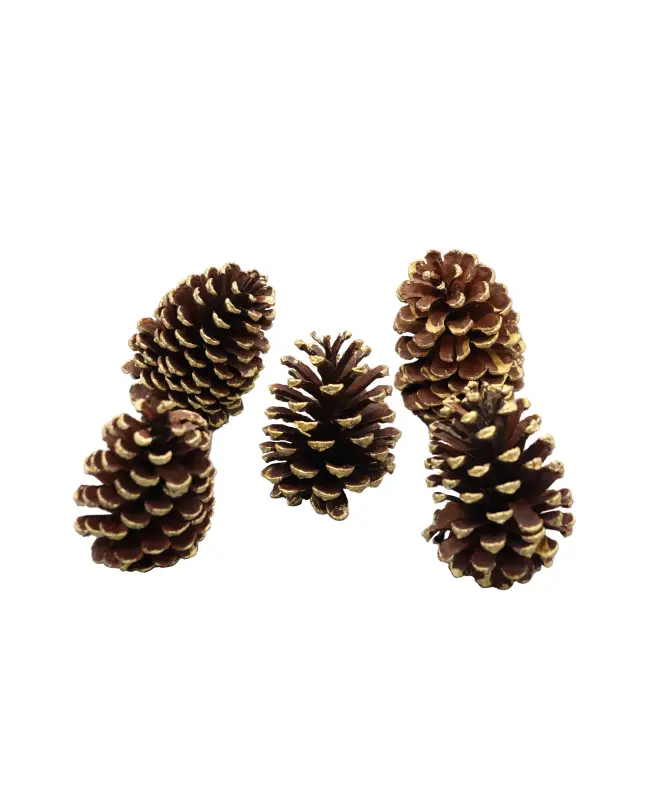 Tannenzapfen Weihnachten