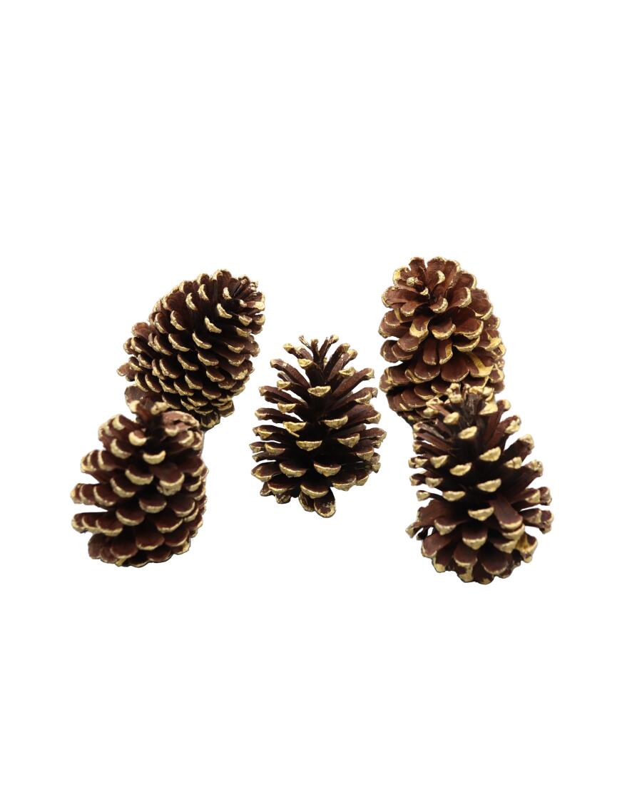 Tannenzapfen Weihnachten gold