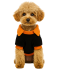 Hundekostüm Halloween schwarz/orange