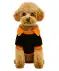 Hundekostüm Halloween schwarz/orange