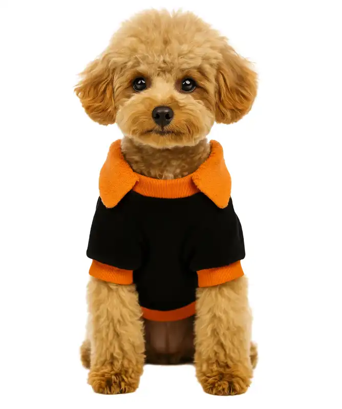 Hundekostüm Halloween