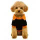 Hundekostüm Halloween