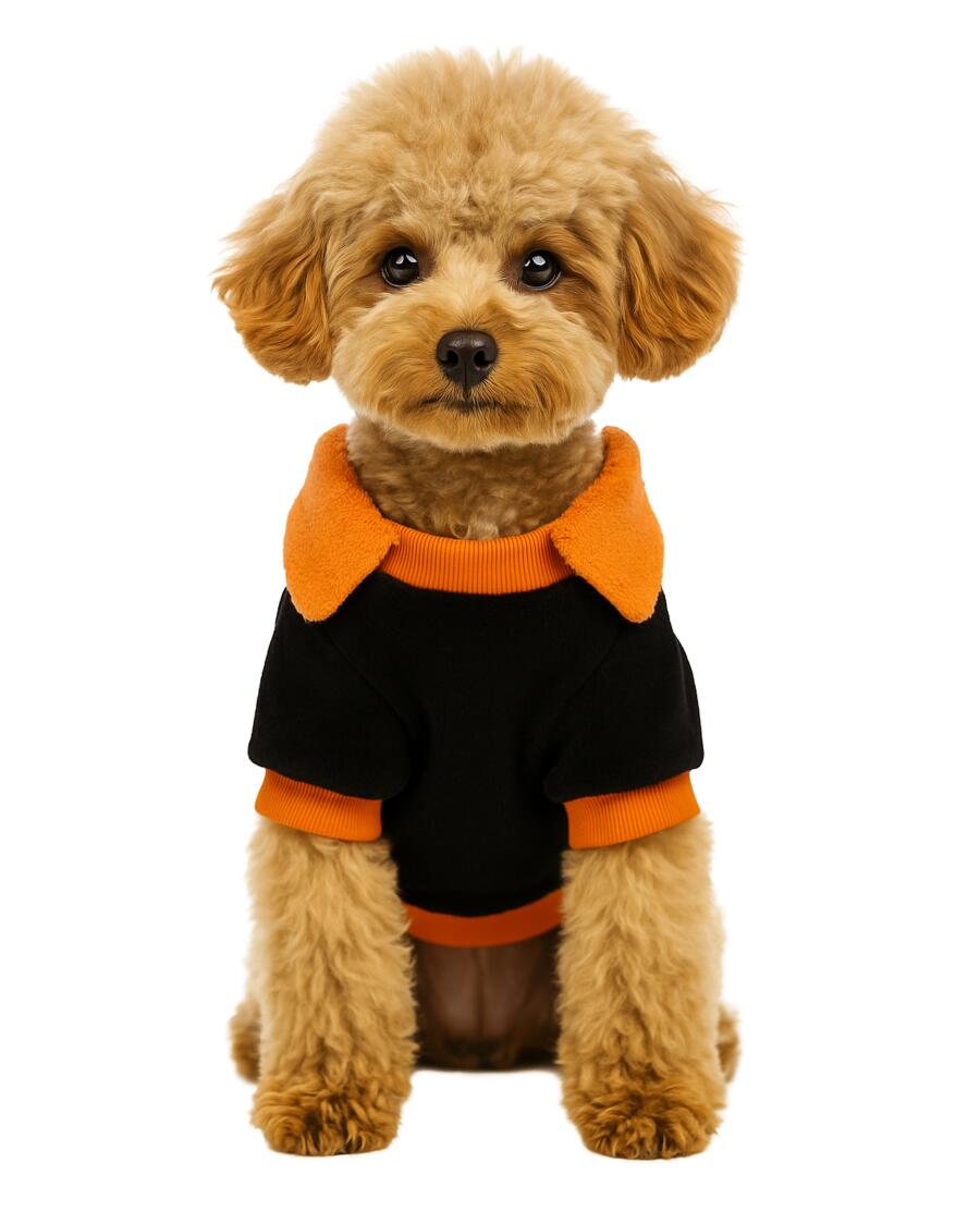 Hondenkostuum Halloween zwart/oranje