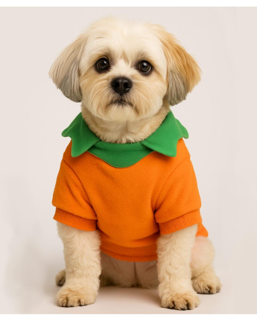 Hondenkostuum Halloween oranje