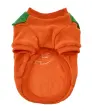 Hundekostüm Halloween