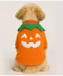 Hundekostüm Halloween