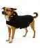 Hundekostüm Halloween schwarz