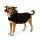 Hundekostüm Halloween
