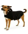 Hundekostüm Halloween