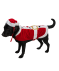 Świąteczny kostium dla psa czerwony