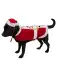 Hundekostüm Weihnachten rot