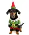 Hundekostüm Weihnachten grün