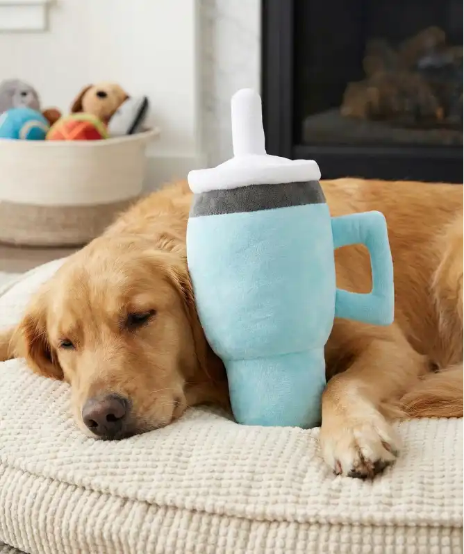 Hundespielzeug Becher aus Plüsch