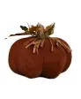červená