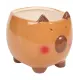 Capybara Planztopf