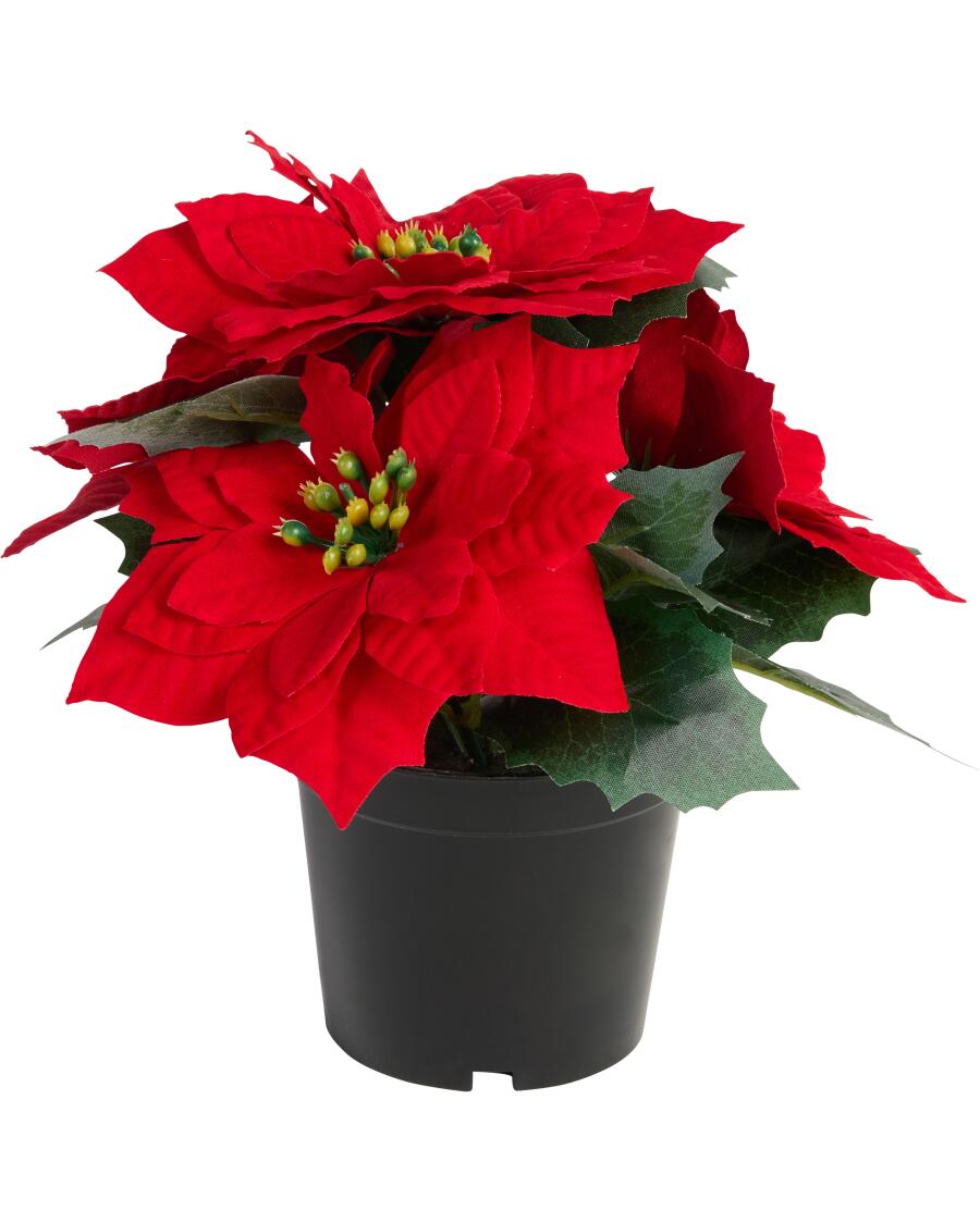 Kunstblume Weihnachten rot
