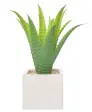 Kunstblume Aloe Vera