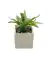 Kunstplant in cementpot groen