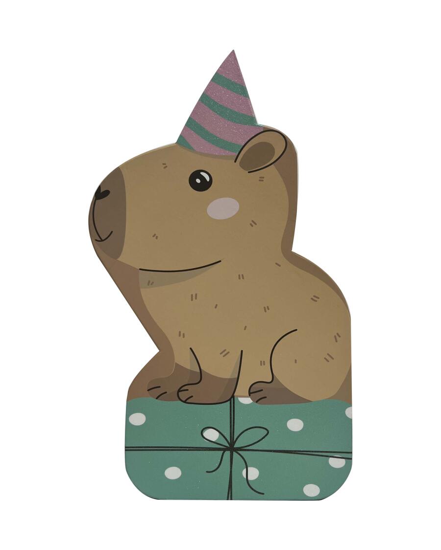 Dárková krabička Capybara hnědá/zelená