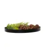 Deco dienblad kerst