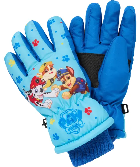 Lizenz Ski-Handschuhe