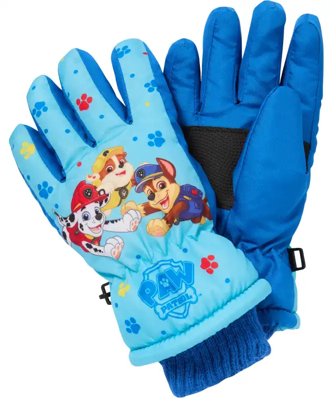 Lizenz Ski-Handschuhe