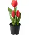 Kunstblumen Tulpen rot