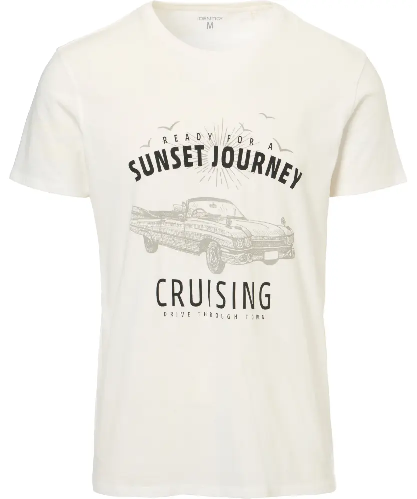 T-shirt voor Heren, offwhite