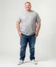 grijs gemeleerd
