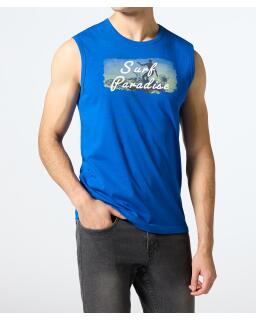 bleu roi