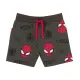 Sweatshorts