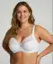BH jacquard wit