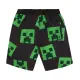 Zwemshort minecraft