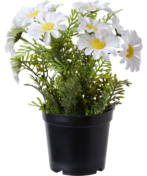 Kunstblume Margerite