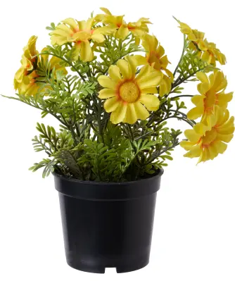 garten sichtschutz mit blumenkasten kunststoff Flexi-Design Blumenkasten mit Sichtschutz für Balkone – Potflex main image 1