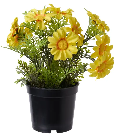 Kunstblume Margerite