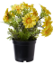Kunstblume Margerite gelb