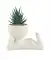 Kunstsukkulente im Figurentopf weiß/grün