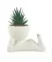 Kunstsukkulente im Figurentopf weiß/grün