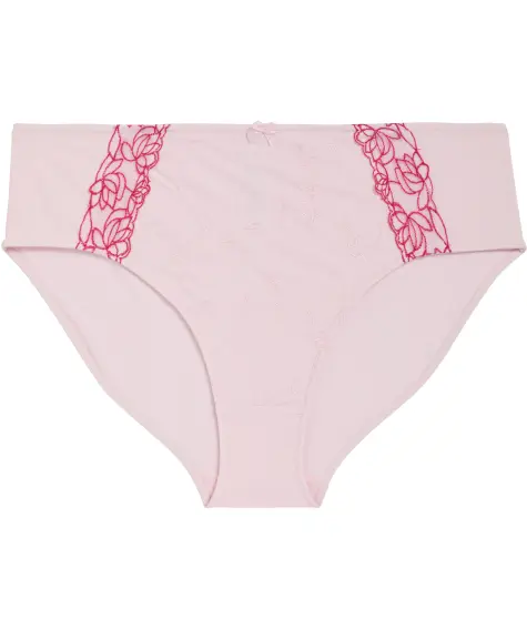 Slip mit Stickereien