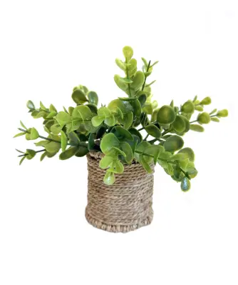 Kunstpflanze im Seegrastopf