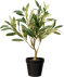 Künstlicher Olivenbaum grün