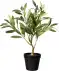 Künstlicher Olivenbaum grün